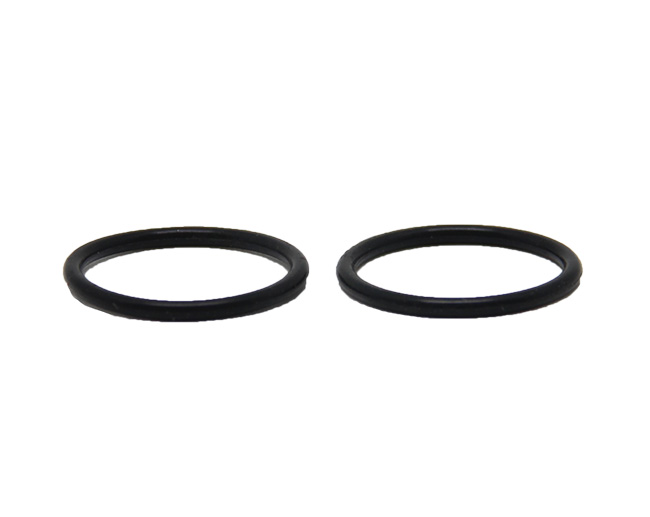 Sealing ring Y00150001